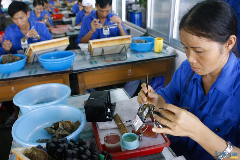 du lịch Hạ Long mùa hè