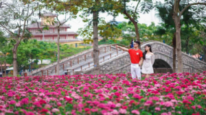 nghỉ dưỡng Hạ Long đầu năm