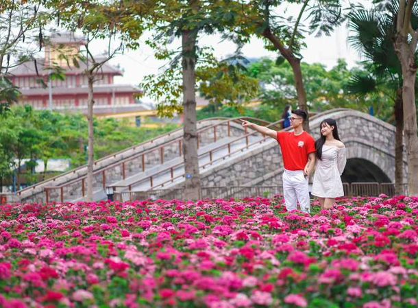 nghỉ dưỡng Hạ Long đầu năm